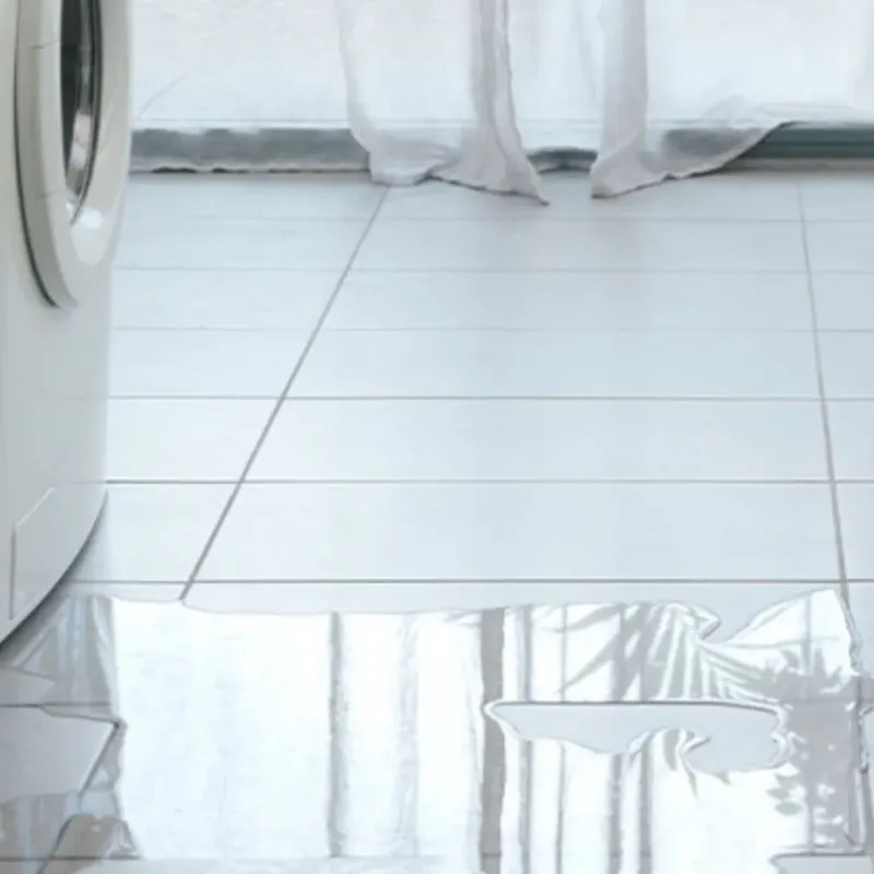 Appliance Leak Cleanup in Iola, WI