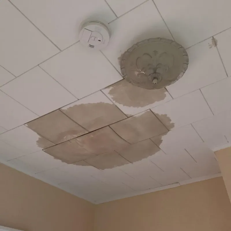 Ceiling Water Damage Repair in Iola, WI