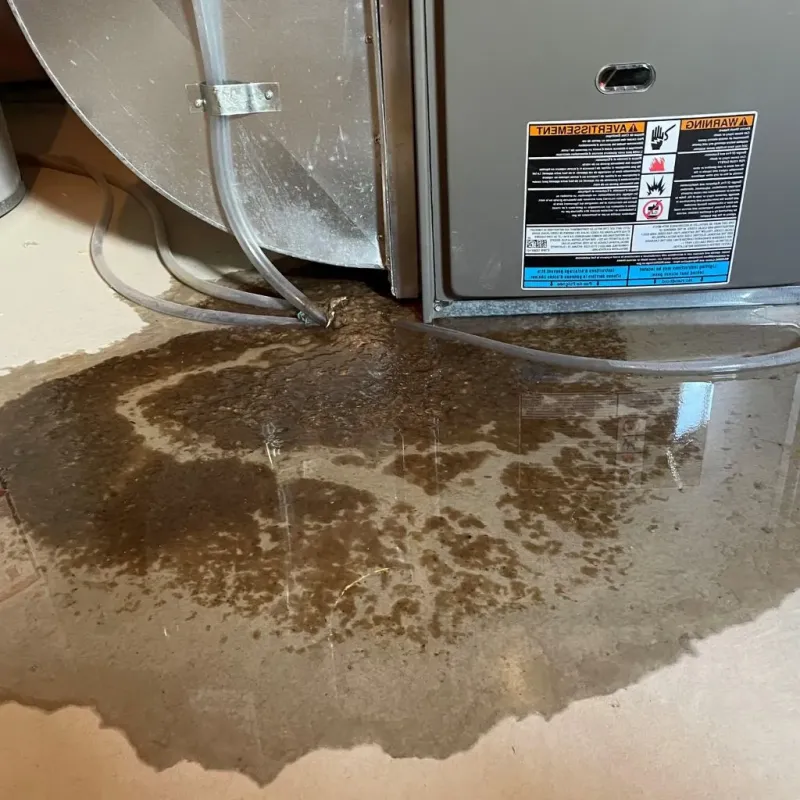 Pipe Burst and Leak Restoration in Iola, WI