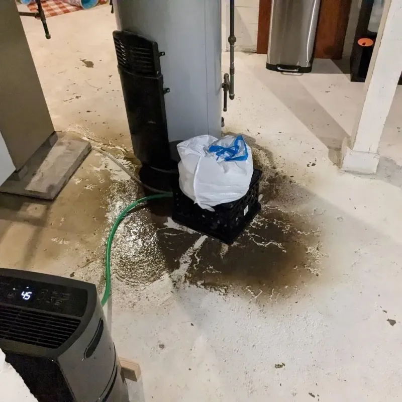 Sewage Backup Cleanup Service in Iola, WI